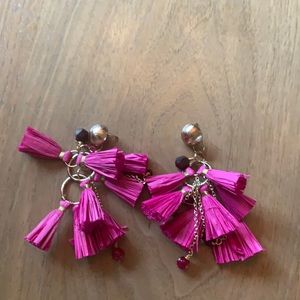 Hot Pink Earrings